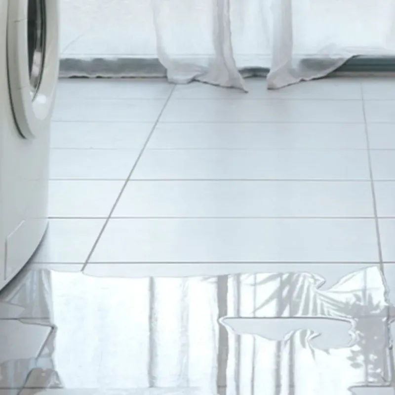 Appliance Leak Cleanup in Thomasville, NC