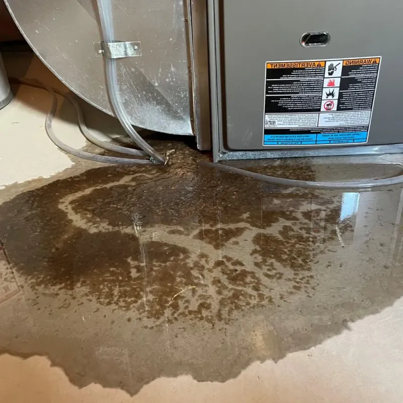 Pipe Burst and Leak Restoration in Thomasville, NC