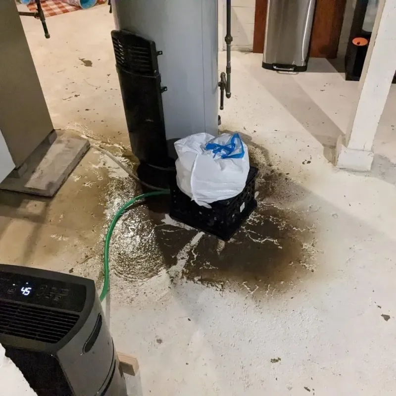 Sewage Backup Cleanup Service in Thomasville, NC